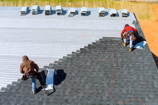 Best Metal Roofing Contractor  in Summit View, WA